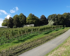 Im Herbst 2019 (6)